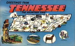 Tennessee The Volunteer State Postcard