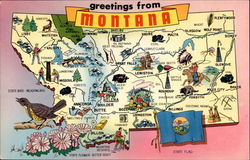 Greetings from Montana Postcard