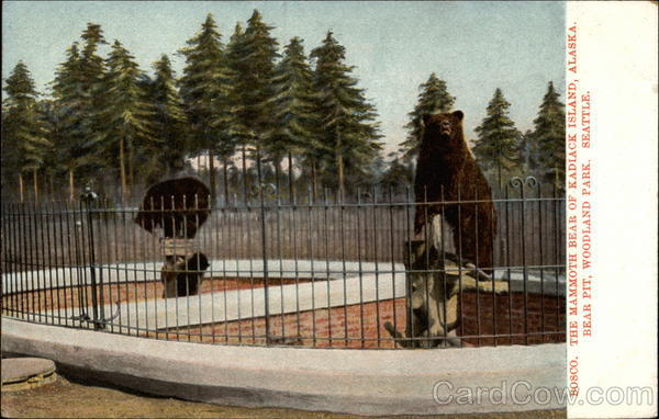 Bosco Seattle Washington