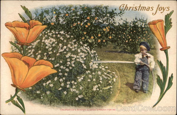 Christmas Joys California