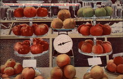 Oregon Apples, Horticultural Display Portland, OR Postcard Postcard