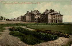 Agricultural College, Cornell University Postcard