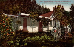 Joaquin Miller, "The Poet of the Sierras", at his home Postcard