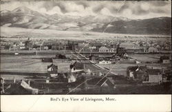 Bird's Eye View Livingston, MT Postcard Postcard
