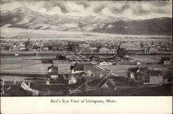 Bird's Eye View Postcard