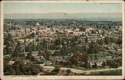 Birdseye View Postcard