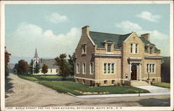 Maple Street and The Town Building Postcard