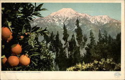 Stock #218039 Thumbnail