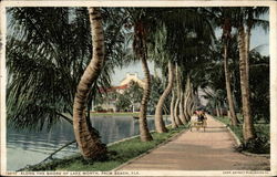 Along the Shore of Lake Worth Postcard