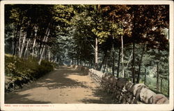 Road at Silver Bay Postcard