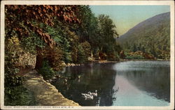 Saco Lake, Crawford House Postcard