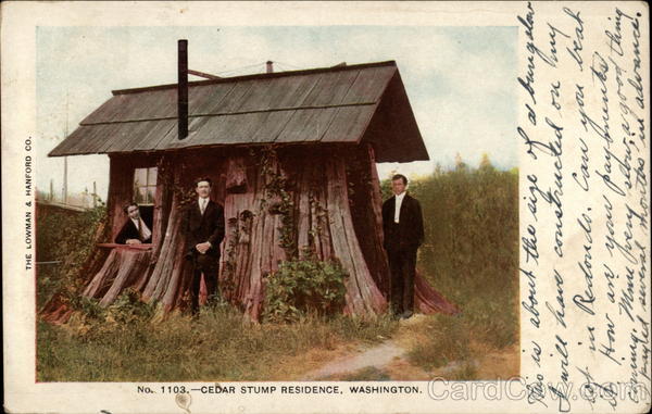 Cedar Stump Residence Washington