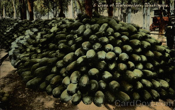 5 Tons of Watermelons Washington