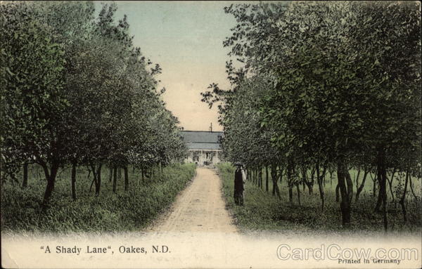 A Shady Lane, Oakes, N.D North Dakota