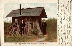 Cedar Stump Residence Washington Postcard Postcard