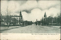 View of Livingston Avenue Postcard