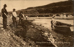 Seining Salmon on Seufert's Bar Near The Dallas, Ore Postcard