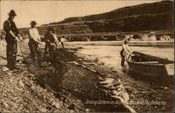 Seining Salmon on Seufert's Bar Near The Dallas, Ore The Dalles, OR Postcard Postcard