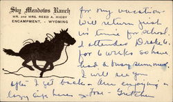 Sky Meadows Ranch Encampment, WY Postcard Postcard