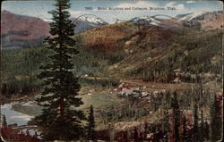 Hotel Brighton and Cottages Utah Postcard Postcard