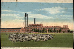 Billings Sugar Co. Plant, Billings, Mont Montana Postcard Postcard