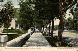 Ewing Street, Looking North Helena, MT Postcard Postcard