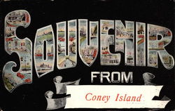 Souvenir From Coney Island Postcard