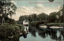 On the Maganetawan River, Highlands of Ontario Postcard