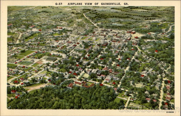 Airplane View Gainesville Georgia