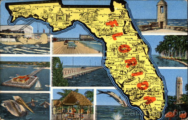 Scenic Views of Florida