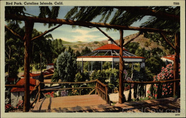 Bird Park, Catalina Islands Avalon California