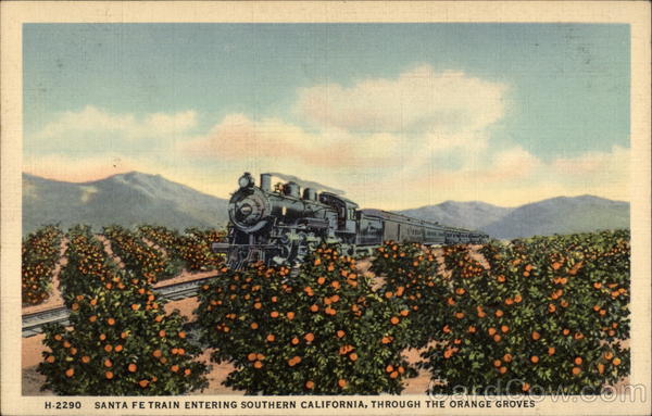 Sante Fe Train Entering Southern California, Through The Orange Groves