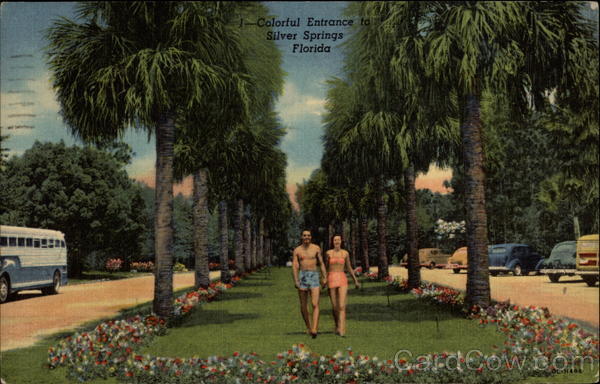 Colorful Entrance Silver Springs Florida