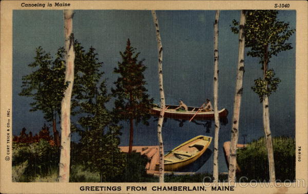 Coneing in Maine Chamberlain