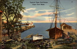 Typical Cape Cod Scene Postcard