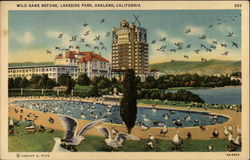 Wild Game Refuge, Lakeside Park Postcard