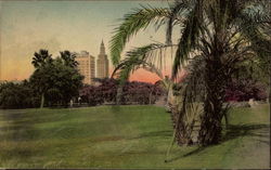 Bayfront Park and a Glimpse of the Skyline MIami, FL Postcard Postcard