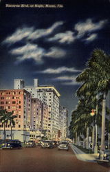 Biscayne Blvd. At Night Postcard