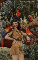 Macaws in Parrot Jungle Postcard