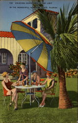 Enjoying Ourselves to the Limit in the Wonderful Sunshine State Postcard