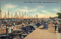 T.S.33 - Sponge Fleet in Harbor, Tarpon Springs, Fla., U.S.A Postcard