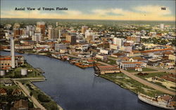Aerial View of Tampa, Florida (T62) Postcard
