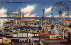 Playland Postcard