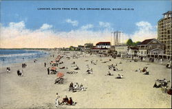Looking South from Pier Postcard