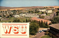 Washing State University Pullman, WA Postcard Postcard