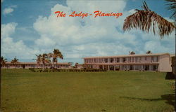 The Lodge Flamingo, FL Postcard Postcard