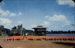 Bandshell at lake Eola Park Postcard