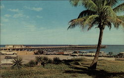 Fishing Pier Lake Worth, FL Postcard Postcard