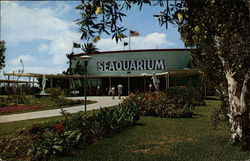 Main Entrance to the Seaquarium Postcard