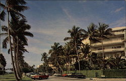 Lake Drive Palm Beach, FL Postcard 